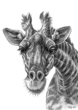 Giraffe G049 by Svetlana Ledneva-Schukina ref.G2012-049 ...