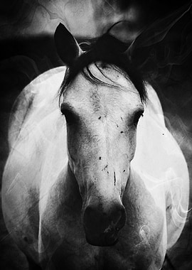 Mixed media art and photography piece by Clare Bevan Ph ...