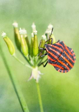 Let's Have One More Bottle