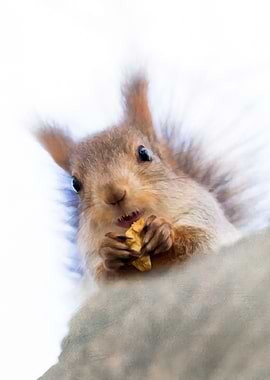 Eat First, Talk Later