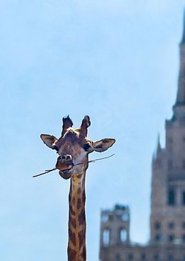 One More Bite To Be Tall