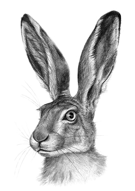 Cute Hare G126 by Svetlana Ledneva-Schukina ref.G2016-1 ...