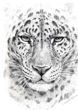 Leopard G028 by Svetlana Lendeva-Schukina ref.G2011-028 ...