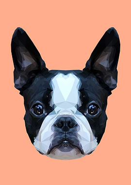 Frenchie/Boston Terrier Polygon Art // Peach