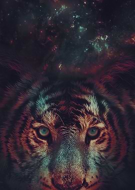 Galaxy Tiger