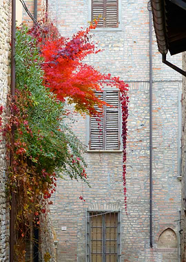 Terrazzo with plants in medieval town, Italy