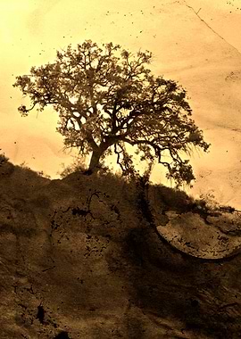 Vintage style photography by Clare Bevan Photography. ...