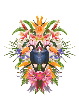 Toucan and flowers