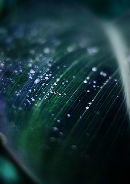 Even rainy days can be beautiful