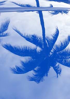 Blue Reflection