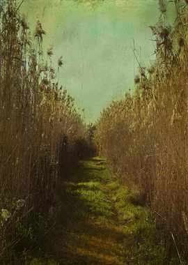 'The path into the unknown' Vintage color photograph