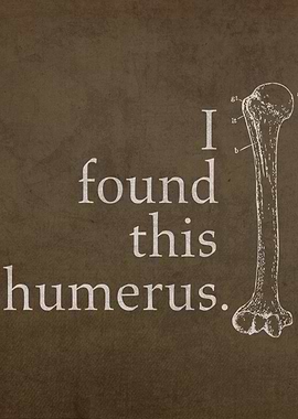 I Found This Humerus