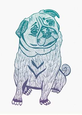 Duotone Pug