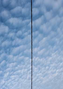 A displate by Antonella Pivetti