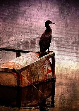 A mixed media art and photography piece of a water bird ...