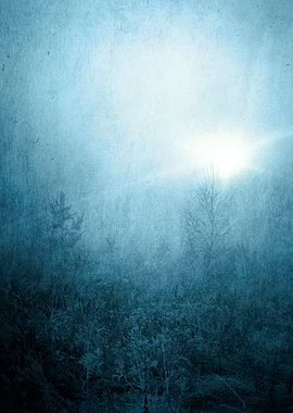 Cold Dawn