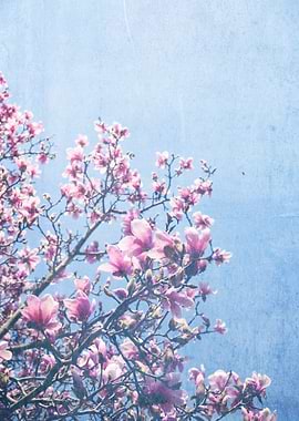 She Bloomed Everywhere She Went