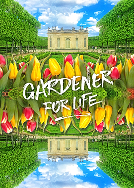 Petit Trianon Tulips Versailles Palace Gardens Paris Fr ...