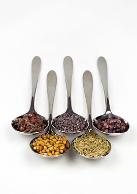 Spoons full of typical Indian spices used in making cur ...