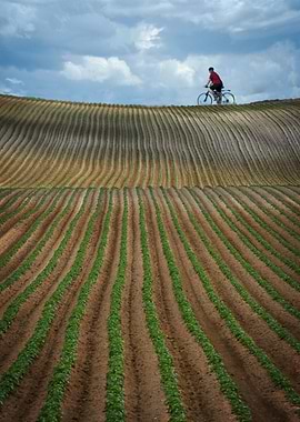 Sunday afternoon trip