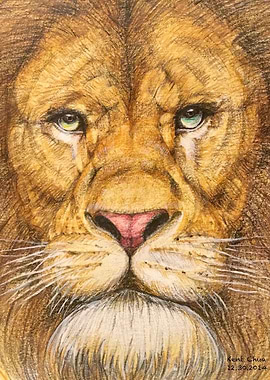 The Great Roar Arise In Your Heart Is The Roar Of Freed ...