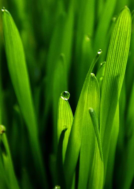 Good morning, spring!