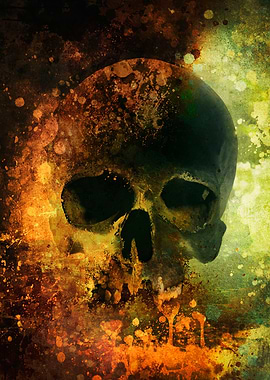 Male skull - warm version