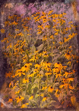 Color photograph 'Yellow Jungle'