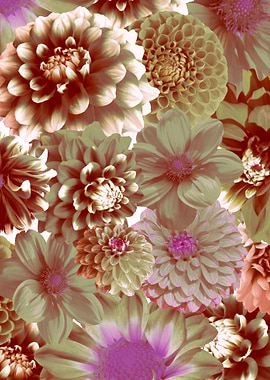 digital art flowers