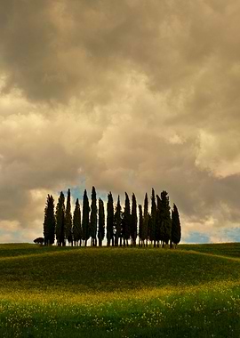 Postcards from Toskany