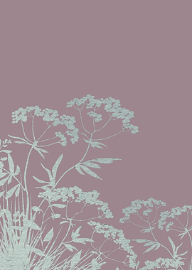 grasses illustration