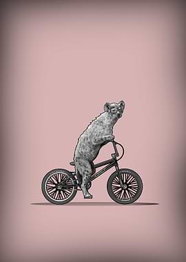 BMX humor Safari