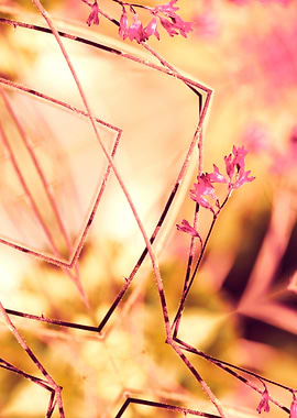 PINK SPANGLES no9-C. One part of my conceptual photoart ...