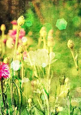 A landscape that feels good and who always reminds us h ...