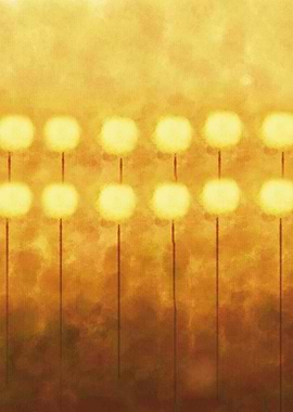 Confidence in Numbers