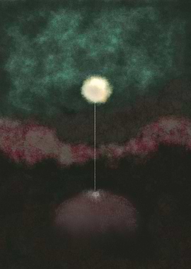 This is a solitary flower at midnight, silently thinkin ...