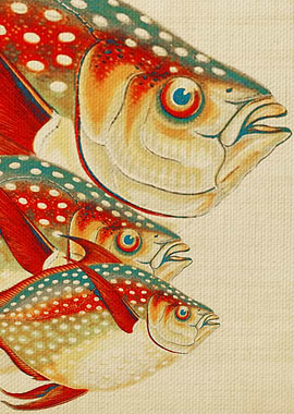 Fish Classic Designs 1