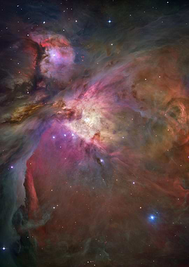 Orion Nebula