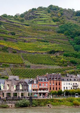 You can exist anywhere.