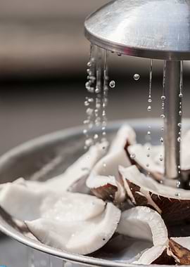 fresh coconut in the street