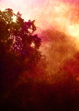 A Mid-Summer's Evening