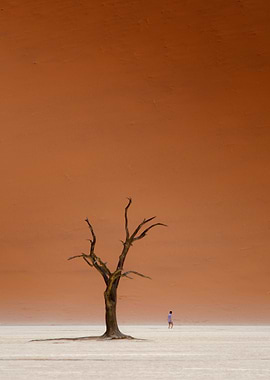 Deadvlei, Namibia