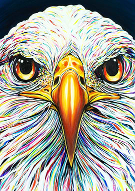 'Freedom' - The American Bald Eagle with a colorful twi ...