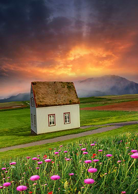 The little white house By Chrissie Judge