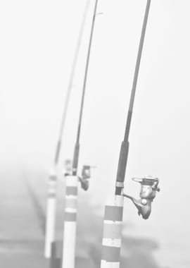 Fishing poles of Muskegon, Pier