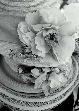 reflection on pond in autumn