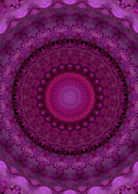 Pink Mandala
