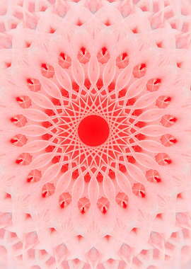 Pink Mandala with tulips ornaments