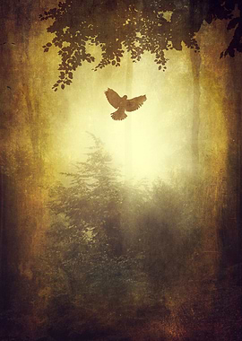 weltschmerz - misty forest scene with ascending bird