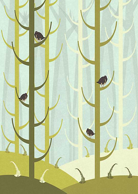 Birds sitting in the trees in a forest.